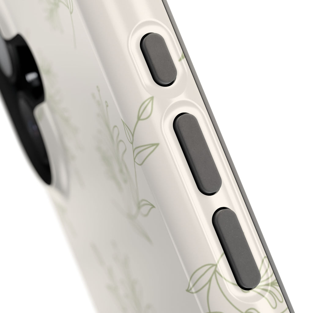 Olive Botanical