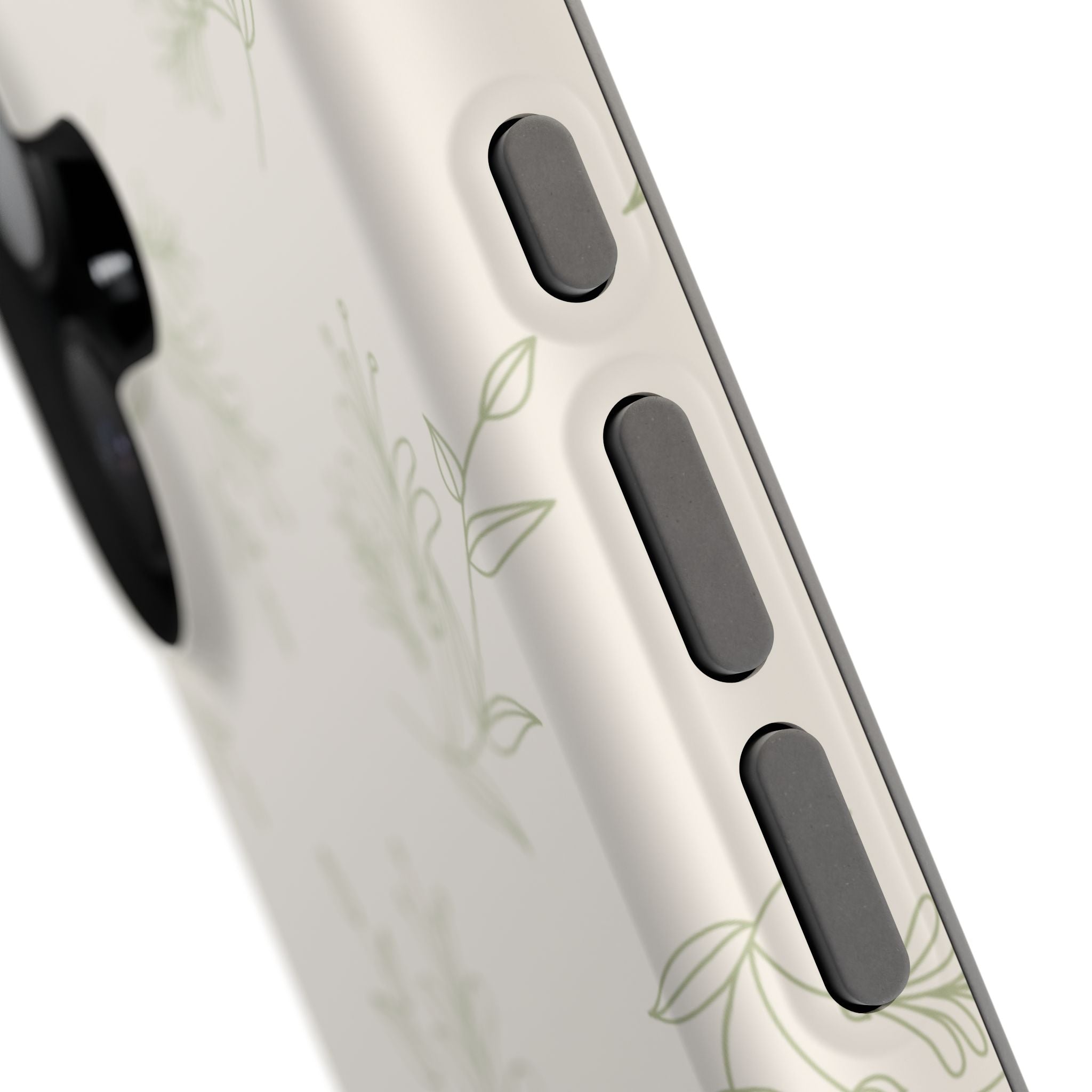 Olive Botanical