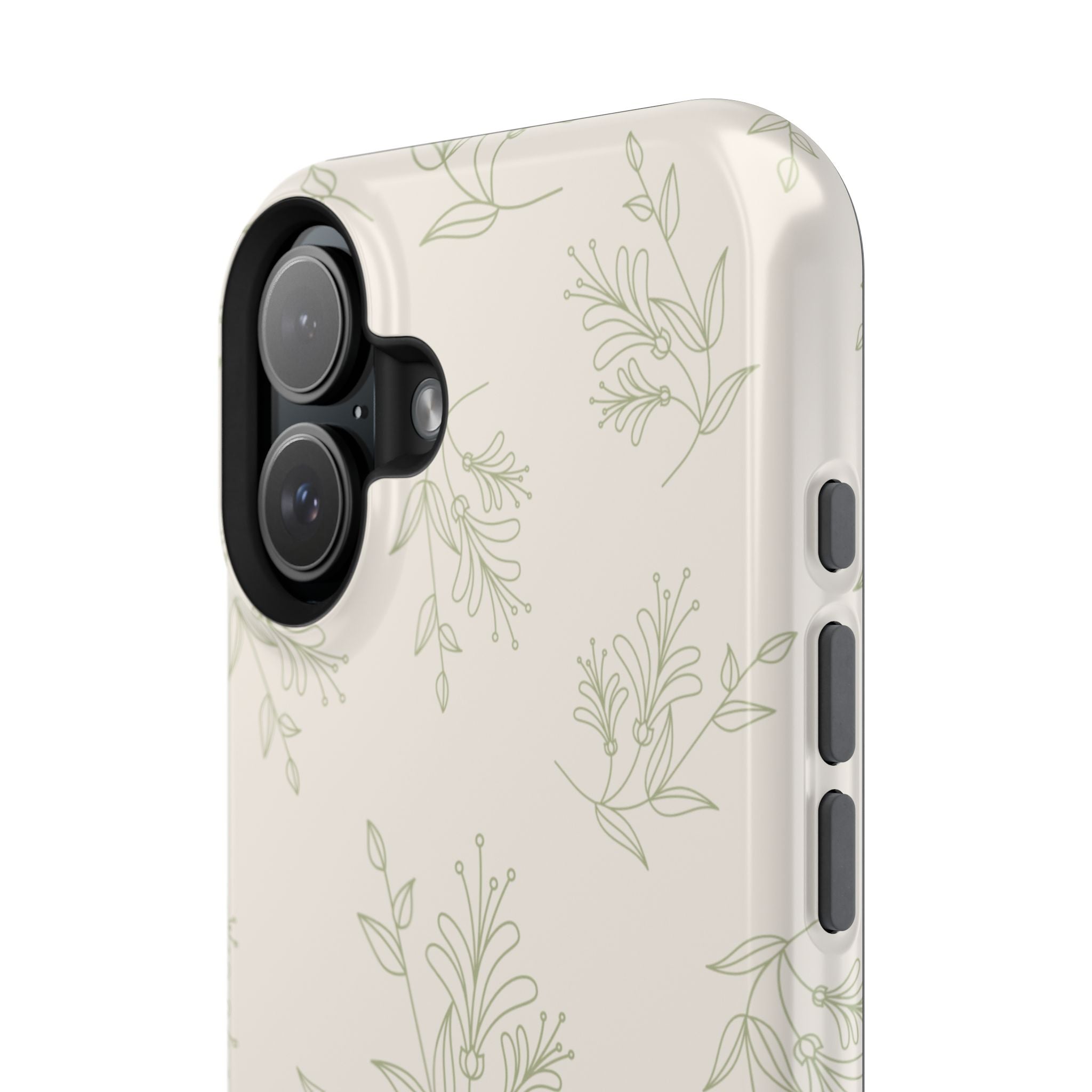 Olive Botanical