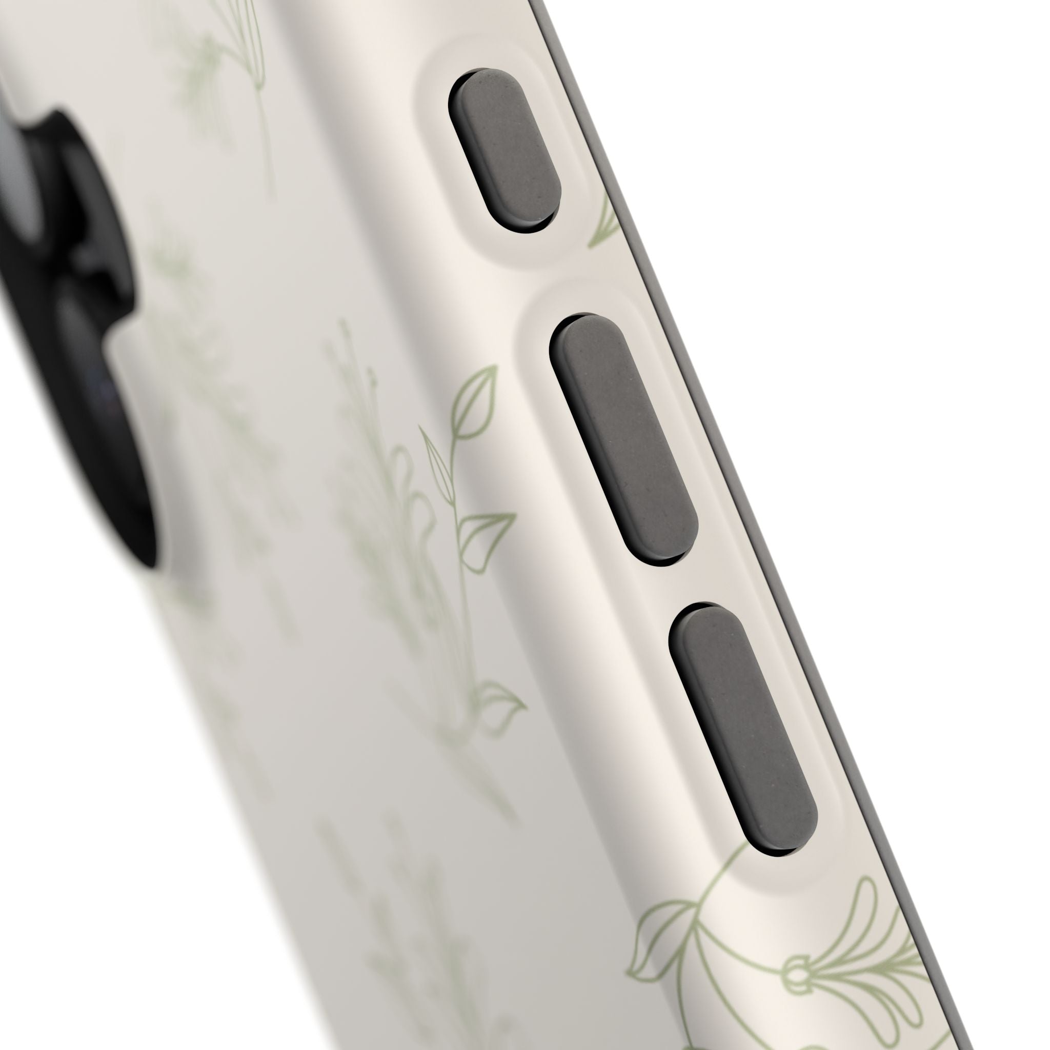 Olive Botanical