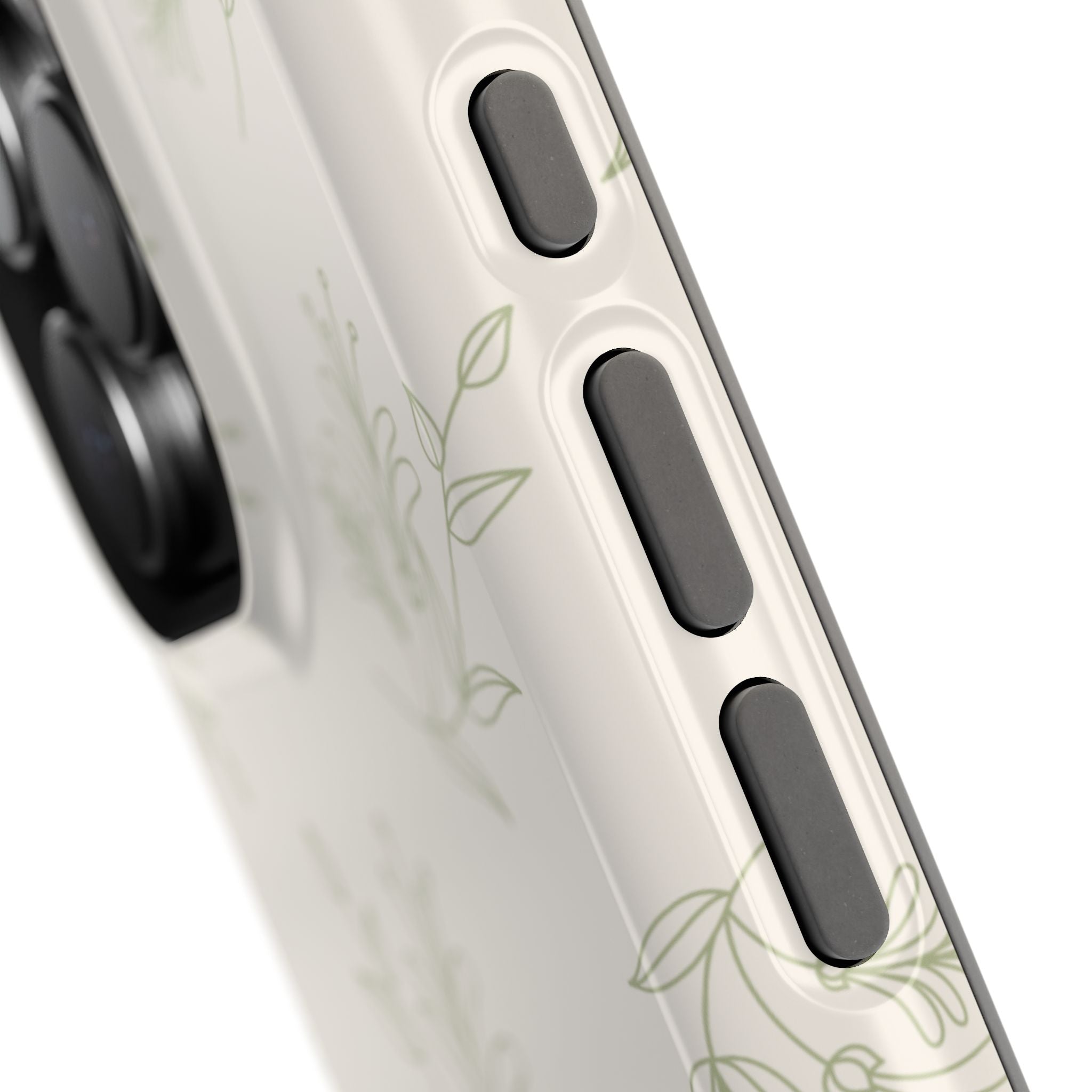 Olive Botanical