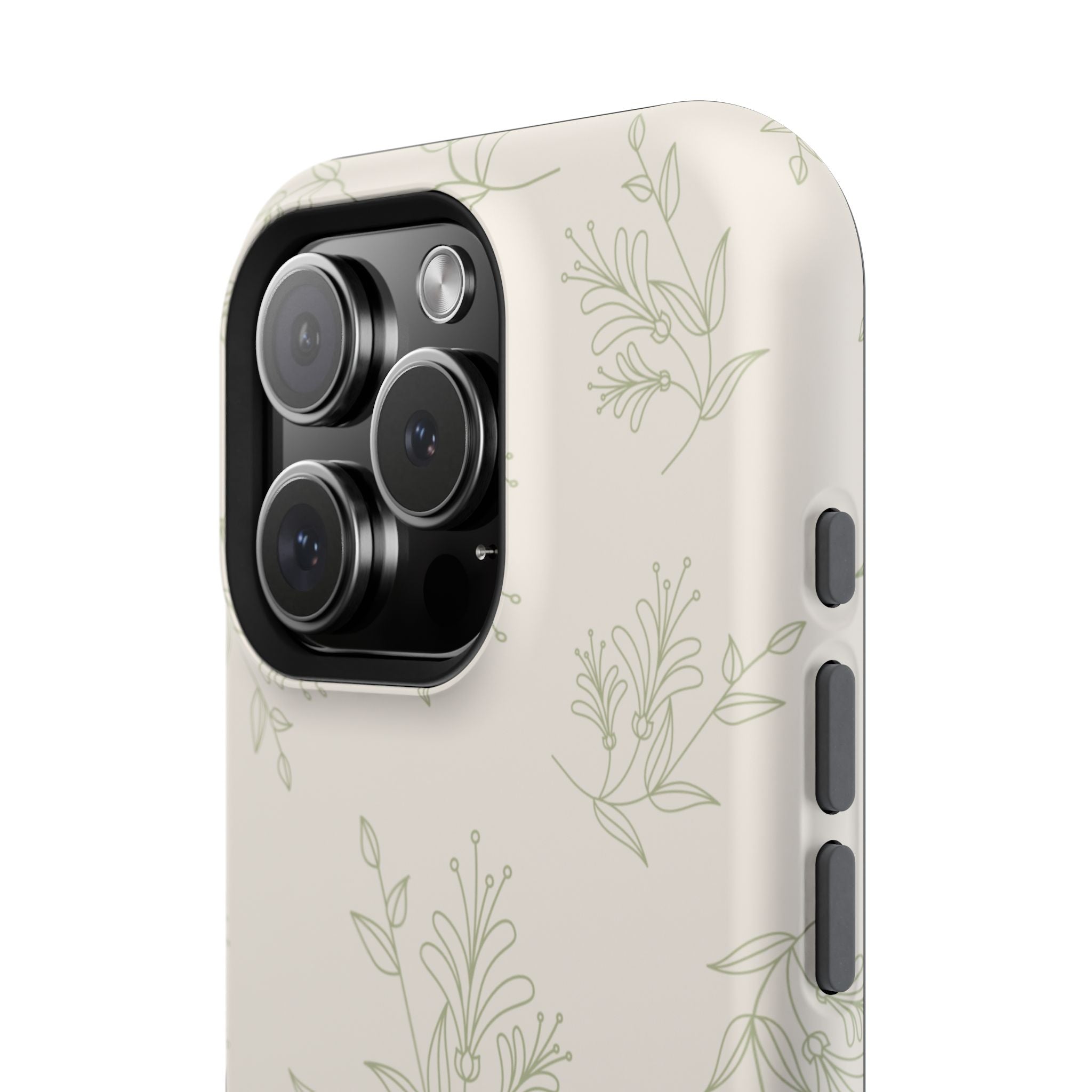 Olive Botanical