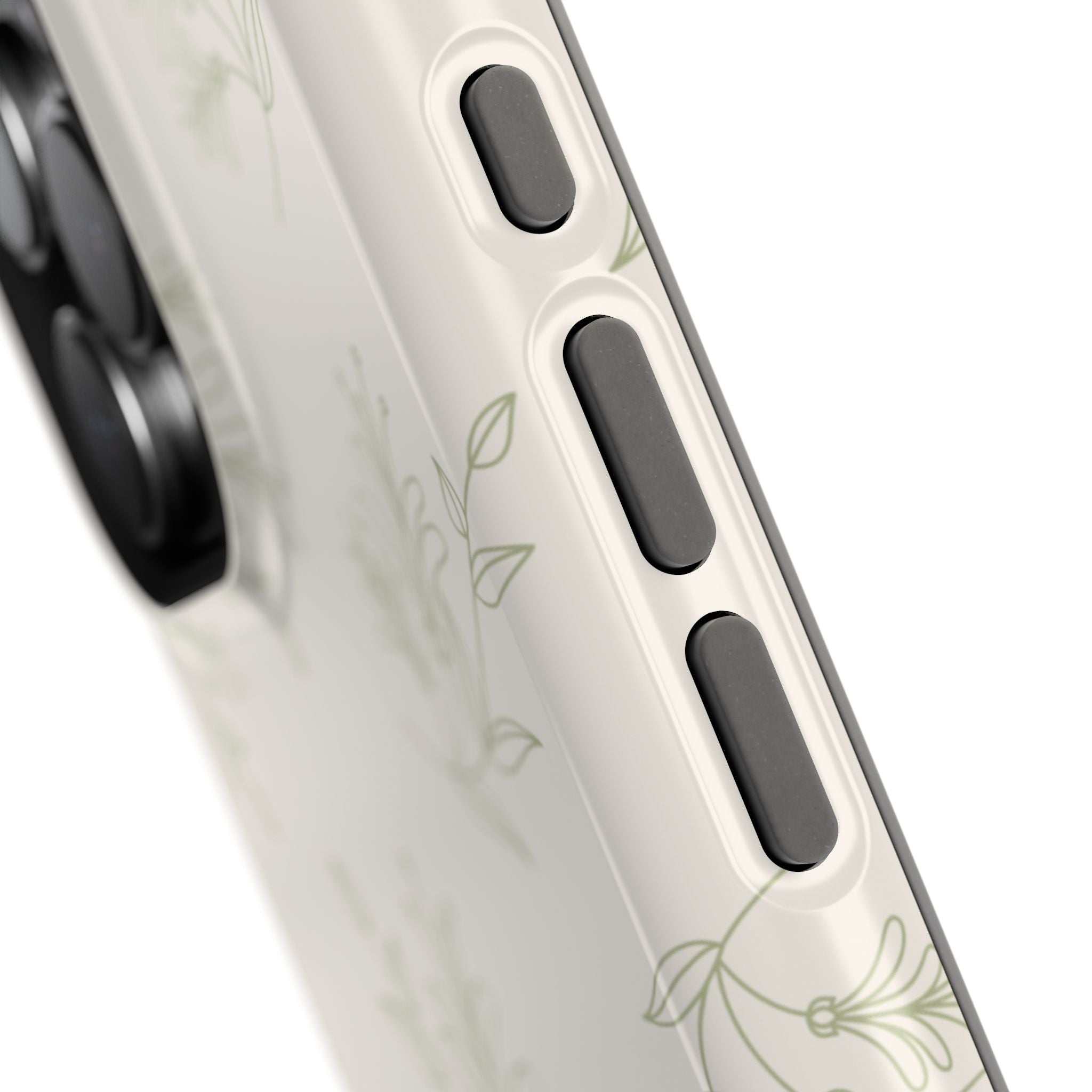 Olive Botanical