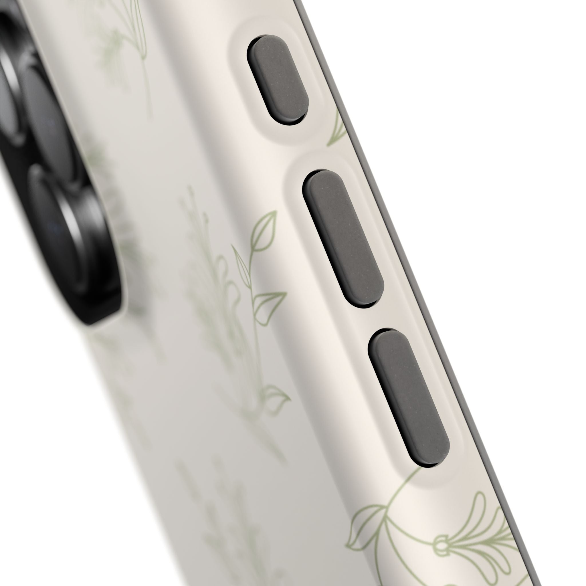 Olive Botanical
